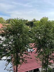 One Tree Hill Residence (D10), Apartment #357289131